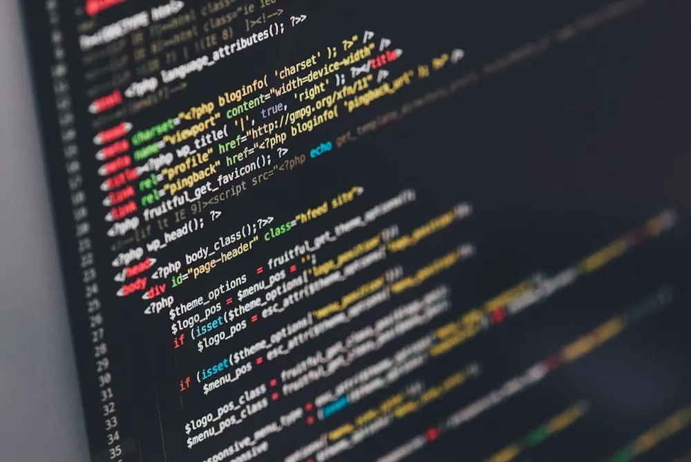 Websites & Custom Software service illustration