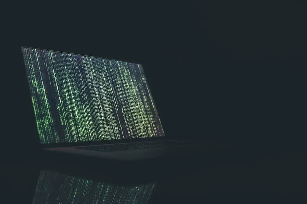 Cybersecurity service illustration